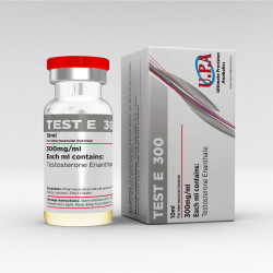 Test Enanthate 300